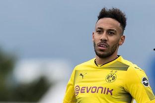 马济奥最新爆料新闻内容,揭秘事件背后惊人真相